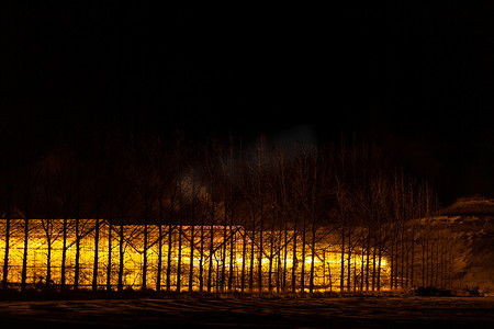冬天的温室摄影照片_冬季种植植物的工业温室。