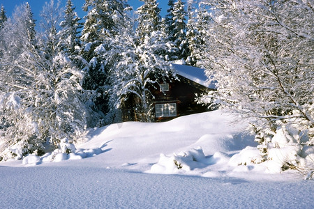森林里的雪屋