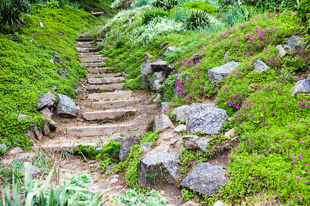 绿色花园中的石阶