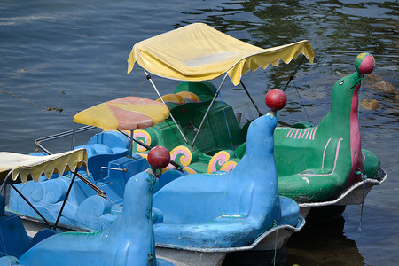 海狮脚踏船
