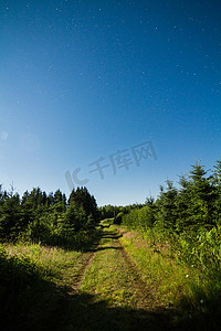 森林中的乡间小路，夜晚晴朗的天空和星星