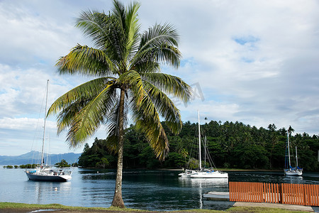 斐济瓦努阿岛萨武萨武港的帆船