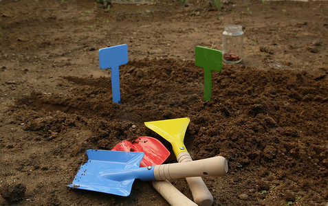 红蓝色线条摄影照片_儿童园艺工具套装 - 铲子、淋浴器、叉子。