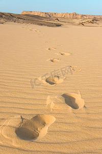 巴哈赛车赛道摄影照片_埃及巴哈里亚沙漠中的足迹