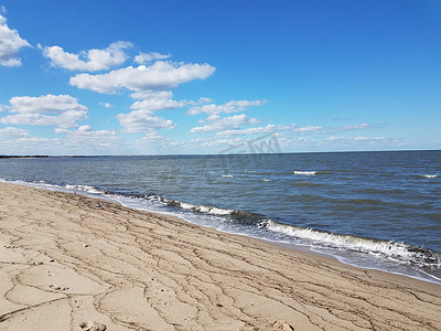 线条沙滩摄影照片_沙滩上的海藻与沙子和水