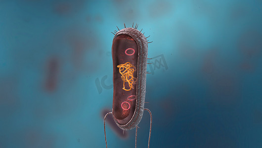 脑膜炎摄影照片_细菌是一种简单的生命形式，称为原核生物。