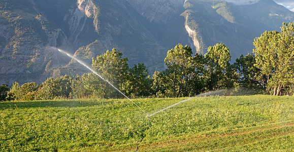 草坪浇水摄影照片_洒水器在瑞士给草坪浇水