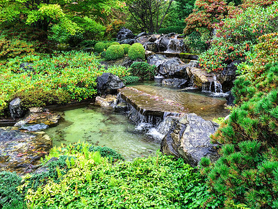 日本阿尔卑斯山摄影照片_初秋的日本庭园