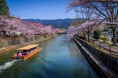 京都河