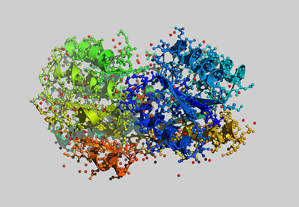 蛋白质分子摄影照片_带原子的蛋白质分子模型