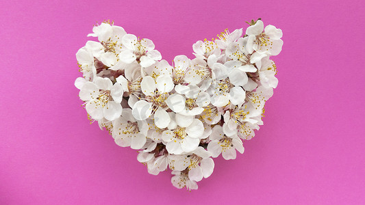 李树摄影照片_在柔和的纹理粉红色背景上的李树花的心。