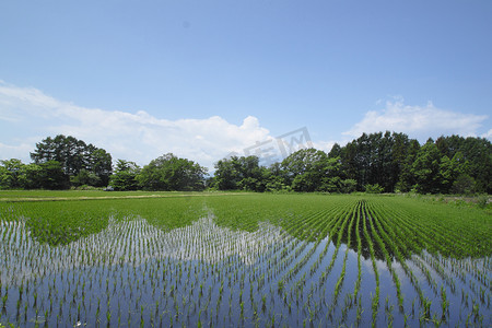 日本风情摄影照片_田园风光