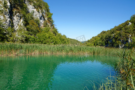 克罗地亚普利特维采明亮夏日的池塘岸景观