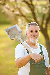 一位英俊的老人在他的花园里园艺的肖像