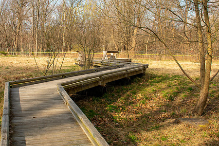 宾夕法尼亚郊区公园的木板路