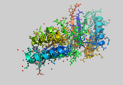 功能区摄影照片_带原子的蛋白质分子模型