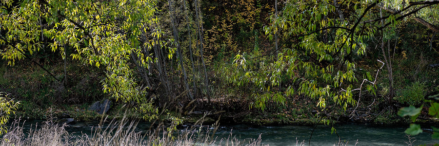 阳光小溪摄影照片_阳光穿过小溪的秋叶