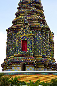 泰国曼谷寺庙抽象杂交植物