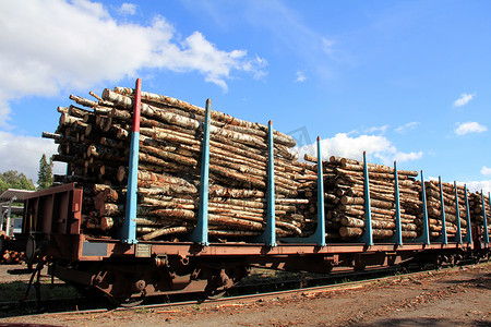 用轨道车运输木材