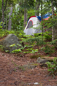 森林帐篷露营