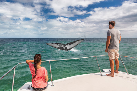观鲸船游览船上的游客在热带目的地、暑假旅行时看着座头鲸的尾巴冲破海洋。