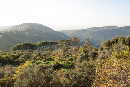 黎巴嫩人摄影照片_黎巴嫩贝鲁特郊外的山丘