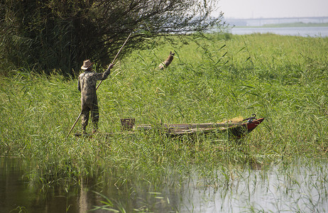 流浪者摄影照片_河的传统埃及流浪者渔夫