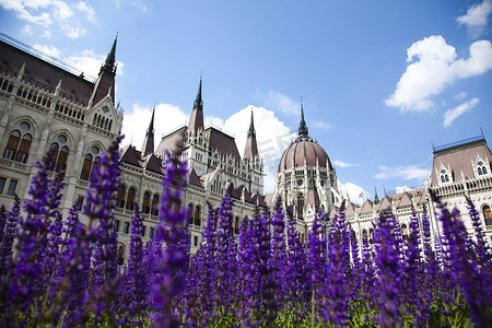 议会大厦在布达佩斯，匈牙利