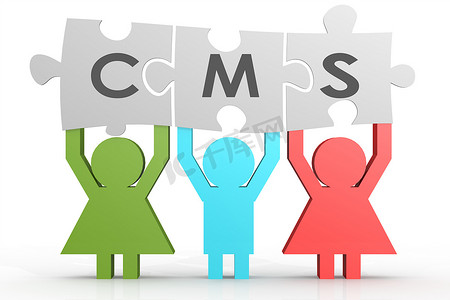 CMS - 在线内容管理系统拼图