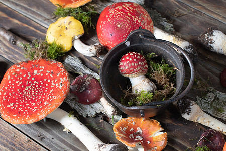 木桌上美丽的橙红飞木耳，秋收蘑菇