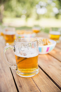 野餐桌摄影照片_野餐桌上的啤酒和小吃