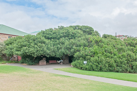 Mosselbay 的邮局树