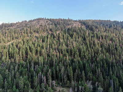美利坚合众国加利福尼亚州斯坦尼斯劳斯国家森林的山区道路。