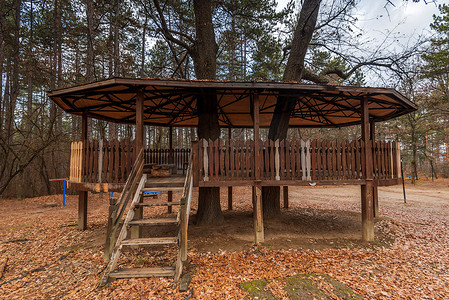 木制童话树屋。