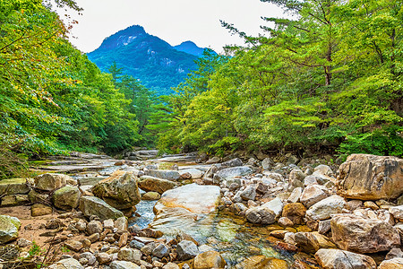 韩国山林河流