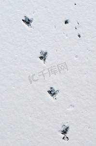 雪和冰上的鸭脚印呈对角线