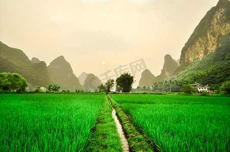 Li river mountain landscape in Yangshuo ricefield
