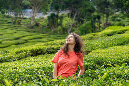 美丽的黑发女孩摆在绿茶灌木丛之间的茶谷中间。