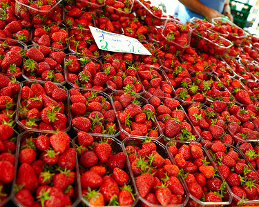 草莓专卖店