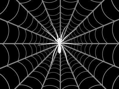 蜘蛛类摄影照片_蜘蛛和网