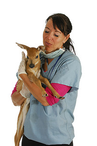 野生动物兽医护理
