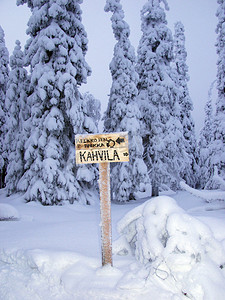 冬季森林中的路标