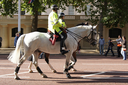 2010 年 9 月 18 日教皇访问伦敦市中心的安保