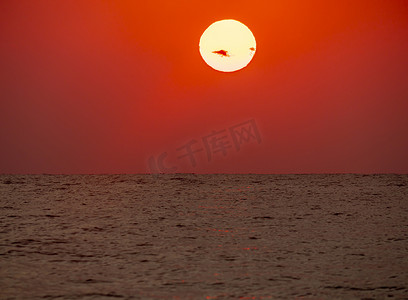 大太阳摄影照片_大海上的大太阳日出