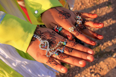展示无刺指甲花画的当地女孩，印度 Khichan 村