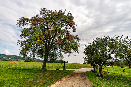在康斯坦茨湖的 Sipplingen 和 Uberlingen 附近进行美妙的秋季徒步旅行