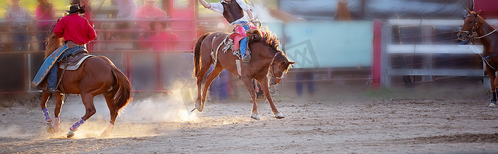 牛仔在牛仔竞技比赛中骑着一匹公马