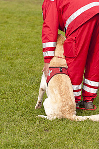 搜救犬洪水摄影照片_搜救犬中队的训练