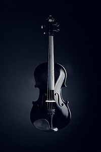 优雅的黑色小提琴