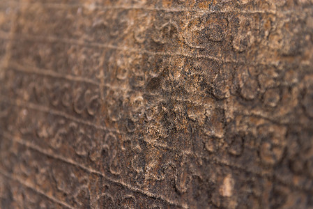 刻在石头上的古代僧伽罗语文字